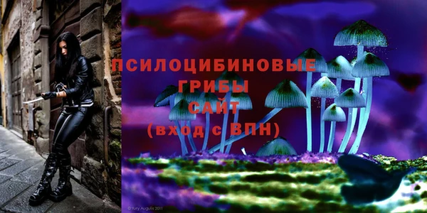 COCAINE Арсеньев