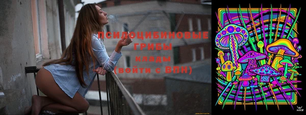 молекула духа Алексеевка