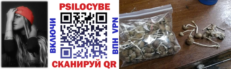 Псилоцибиновые грибы ЛСД  Новошахтинск 